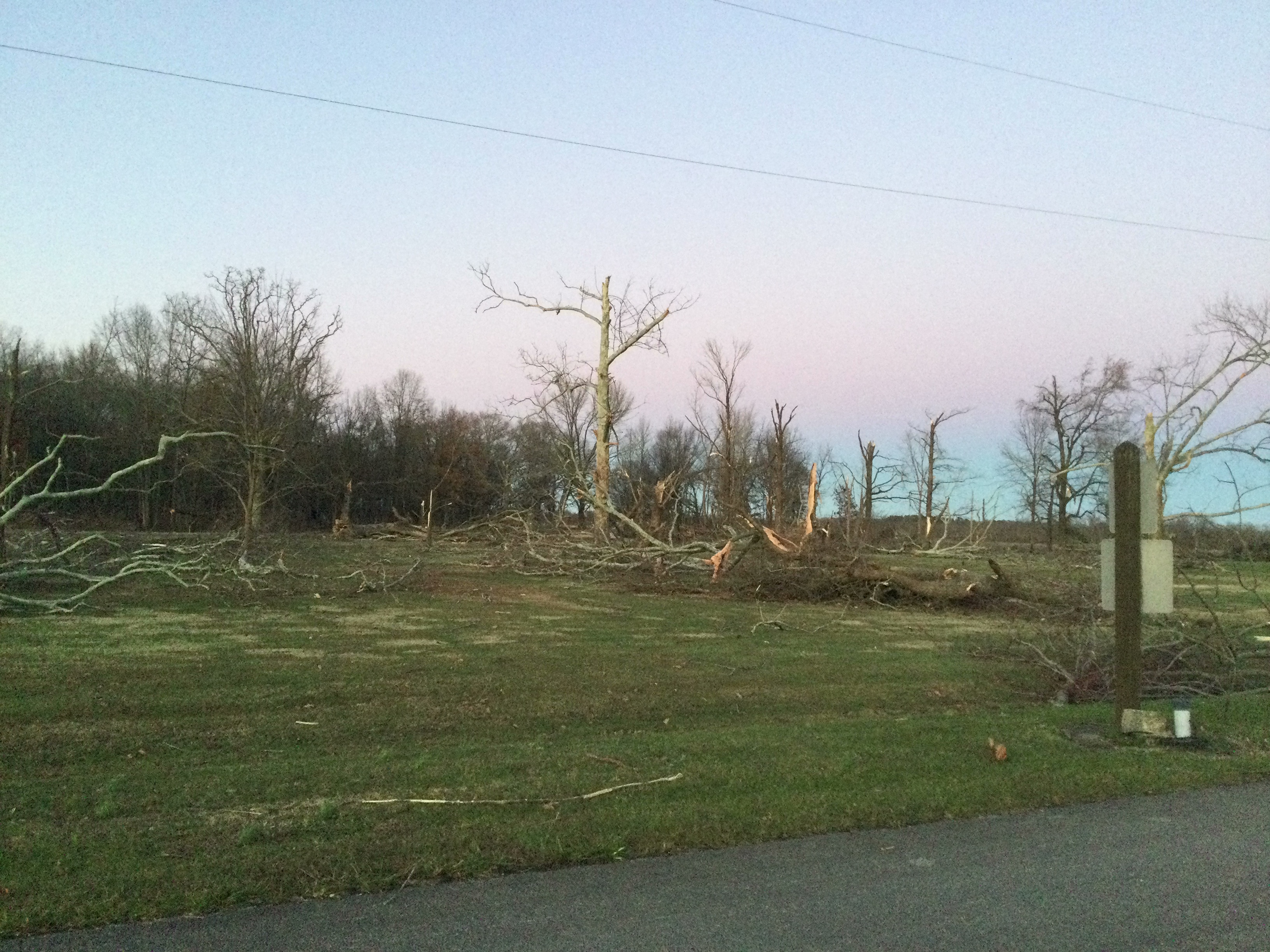 Numerous trees snapped off in northwestern Fayette County Illinois.