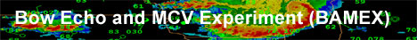bamex1.gif (16039 bytes)