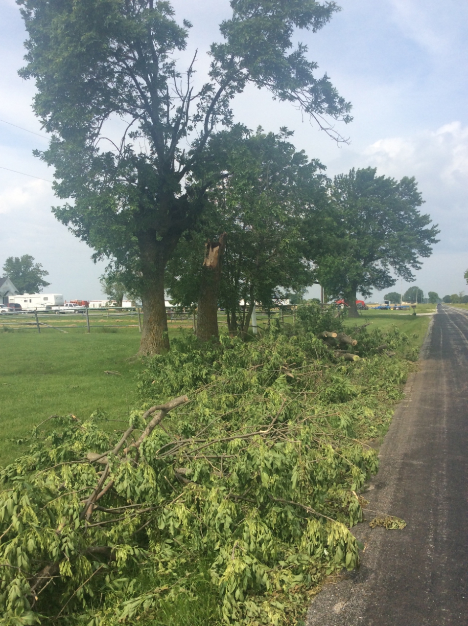Photo of large tree limbs snapped off.