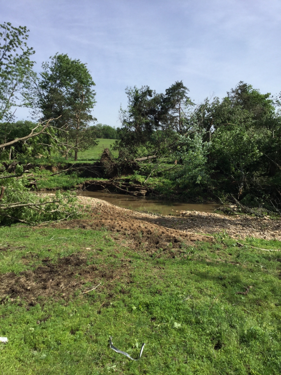 Photo of trees uprooted by the tornado.