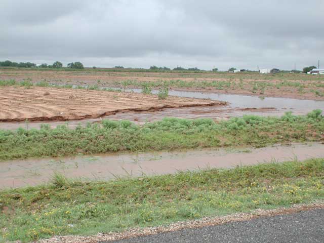 Field near Jayton where water washed out a land terrace.