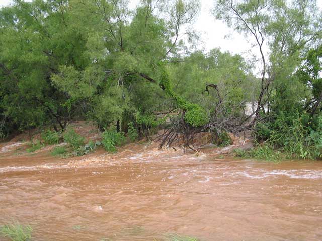 Runoff pouring out of a field near Jayton Wednesday (July 28, 2004) around noon