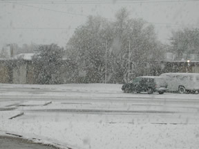 Picture of Snowfall in Lubbock (11/2/2004)