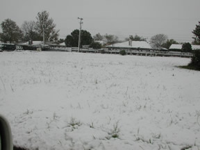 Picture of Snowfall in Lubbock (11/2/2004)