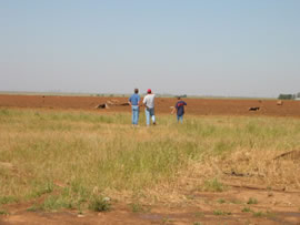 Damage from the second of two tornadoes to impact Ralls, TX. Click on the image for a larger view.