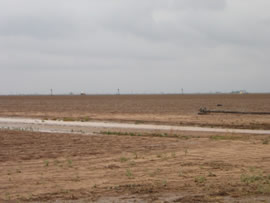 Image of damage from June 9, 2005 storm. Photograph taken by Brian LaMarre, Warning Coordination Meteorologist, WFO Lubbock, TX.