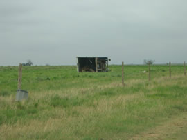 Image of damage from June 9, 2005 storm. Photograph taken by Brian LaMarre, Warning Coordination Meteorologist, WFO Lubbock, TX.