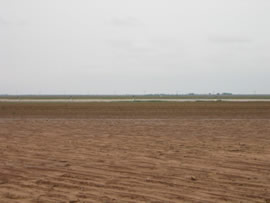 Image of damage from June 9, 2005 storm. Photograph taken by Brian LaMarre, Warning Coordination Meteorologist, WFO Lubbock, TX.