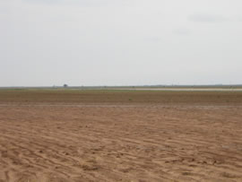 Image of damage from June 9, 2005 storm. Photograph taken by Brian LaMarre, Warning Coordination Meteorologist, WFO Lubbock, TX.