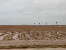 Image of damage from June 9, 2005 storm. Photograph taken by Brian LaMarre, Warning Coordination Meteorologist, WFO Lubbock, TX.