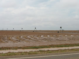 Image of damage from June 9, 2005 storm. Photograph taken by Brian LaMarre, Warning Coordination Meteorologist, WFO Lubbock, TX.