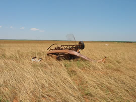 IImage of damage from June 12, 2005 storm in Kent County,  northwest of Jayton. Photograph taken by Brian LaMarre, Warning Coordination Meteorologist, WFO Lubbock, TX.