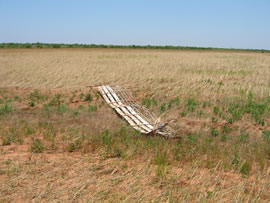 Image of damage from June 12, 2005 storm in Kent County,  northwest of Jayton