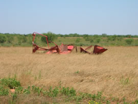 Image of damage from June 12, 2005 storm in Kent County,  northwest of Jayton