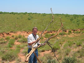 Image of damage from June 12, 2005 storm in Kent County,  northwest of Jayton