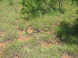 Image of damage from June 12, 2005 storm in Kent County,  northwest of Jayton