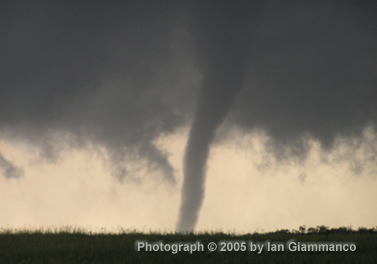 Image of Kent county tornado