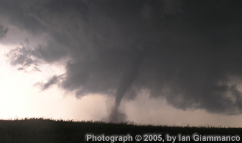 Image of Kent county tornado