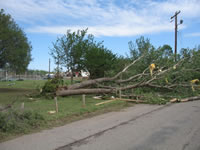 Damage associated with the tornado in the Fair Park area (east of the High School).