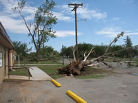 Damage associated with the tornado in the Fair Park area (east of the High School).