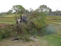 Damage near Paducah