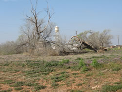 Images of Damage from the Estelline area.
