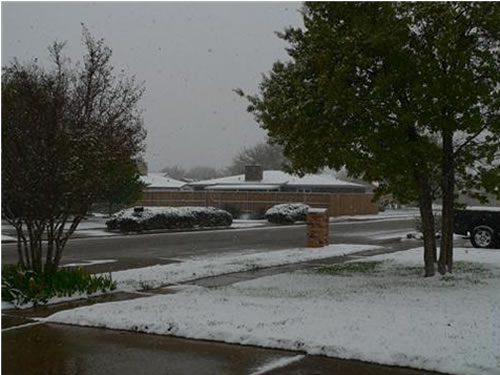 Picture of snow. (Take by Erin Shaw)