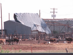 Image of damage around the Muleshoe area from storms on 25 May 2008. Click on the picture for a larger view. Photo by Jody James.