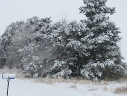 Another picture taken about 15 miles northeast of Plainview on 13 March 2009. The picture is courtesy of Chad and Lindy Casey. Click on the image for a larger view.