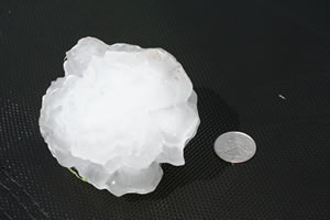 Picture of large hail that fell in Quitaque on 13 June 2009. The hail ranged in size from baseball up to softball. Click on the image for a larger view. The picture is courtesy of Laura and Johnny Griffin.