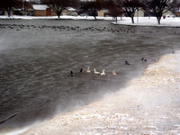 Picture from Hoel Park in southwest Lubbock