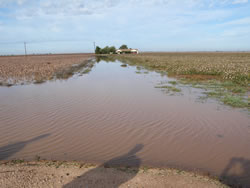 Picture of rain and hail impacts around Terry county.  Image was taken on Friday, 22 October 2010.  Click on the image for a larger view.