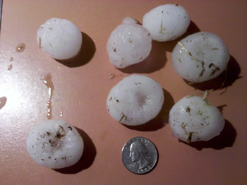Hail that fell in Levelland on the evening of 19 March 2011.  Photo courtesy Whitney Owens. Click on the image to view a large version.