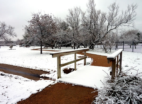 Picture of Clapp Park, in Lubbock, taken on Christmas Day 2011. Picture courtesy of Erin Shaw. Click on the image for a larger view.