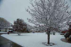 Picture of the snow taken in southwest Lubbock on Christmas morning 2011. Image courtesy of Jody James. Click on the image for larger version. 
