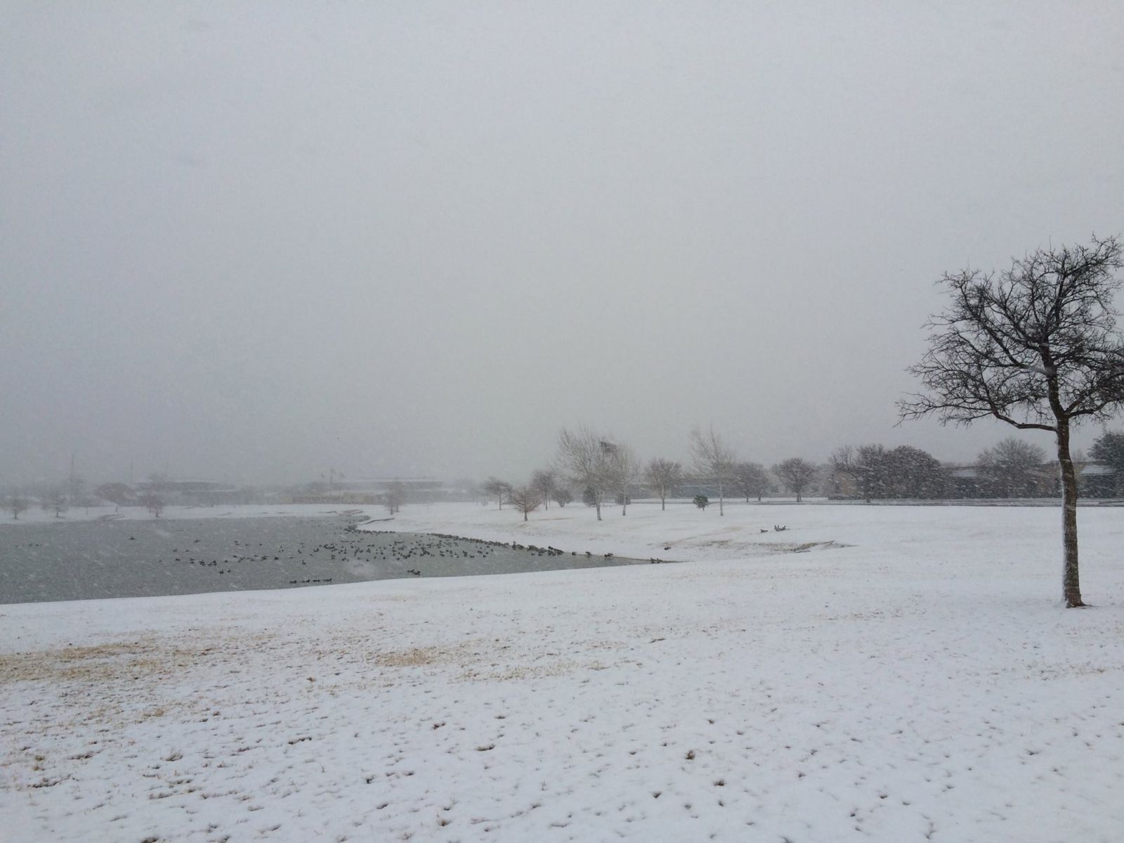 Another view from Huneke Park on December 27th, 2014