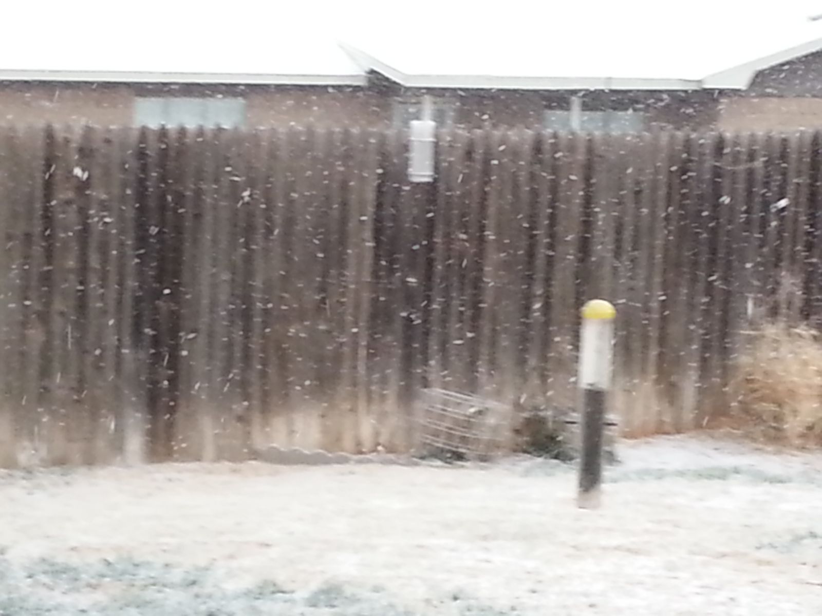Snow and sleet falling in Lubbock on the morning of February 23, 2015.