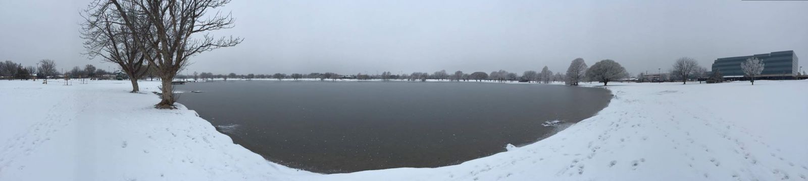 Snow blanketing Maxey Park in Lubbock on February 28, 2015.