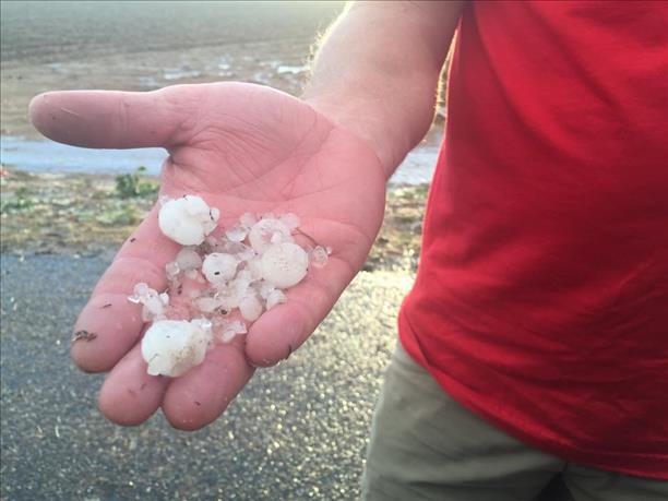 Hail observed in Slaton on Wednesday evening, courtesy of Jason Davis and KCBD.