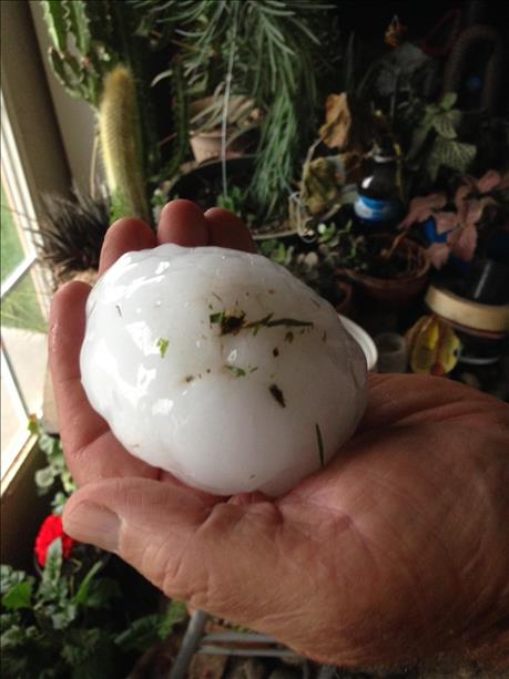 Very large hail that fell near Grassland and Post in Garza County. Photos courtesy KCBD.