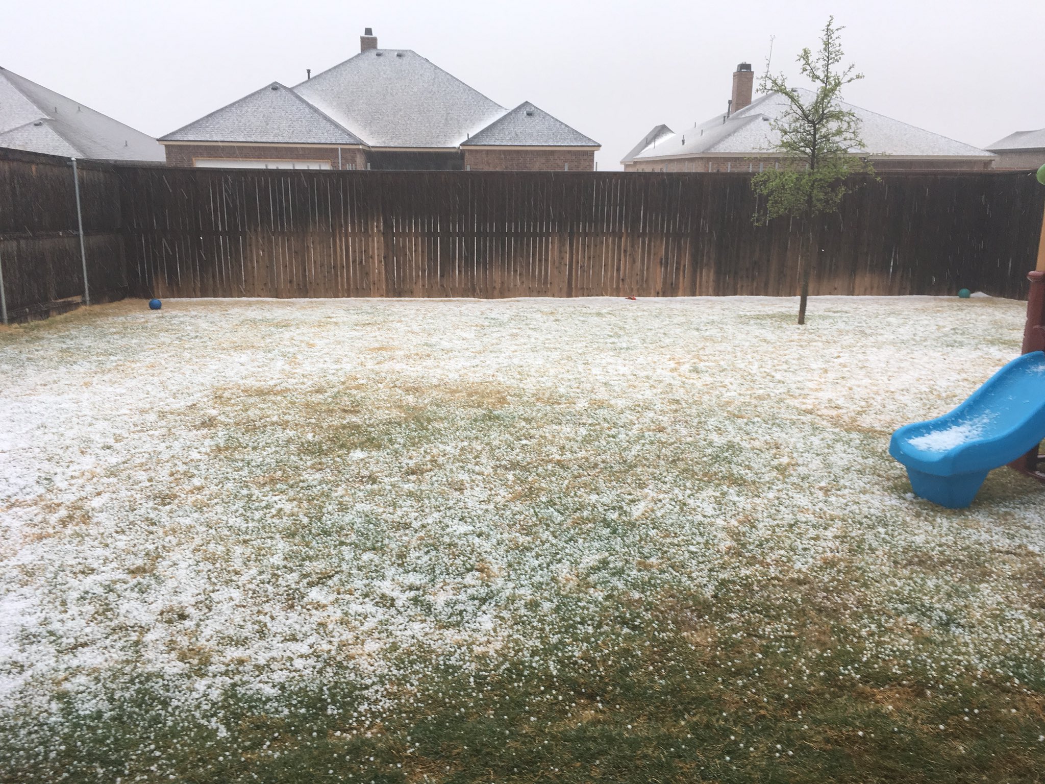 Picture of small but abundant hail that fell across southern Lubbock Tuesday evening (27 March 2018). The picture is courtesy of Jason Jordan.