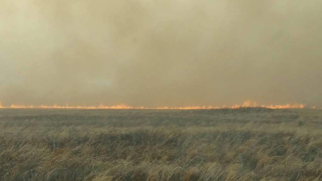Large wildfire that moved into western Cochran County out of eastern New Mexico on Thursday, 12 April 2018. The picture is courtesy of the Texas Forest Service.
