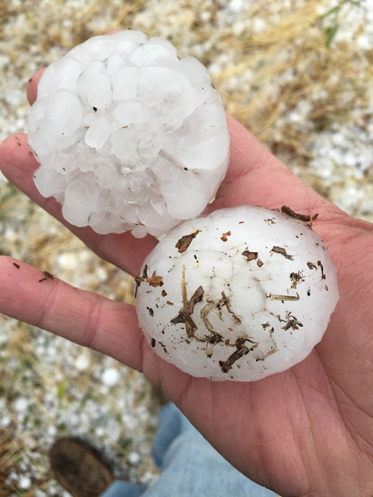 Large hail that fell in Crosbyton the evening of 15 May 2018. The image is courtesy of Billy Tidwell.
