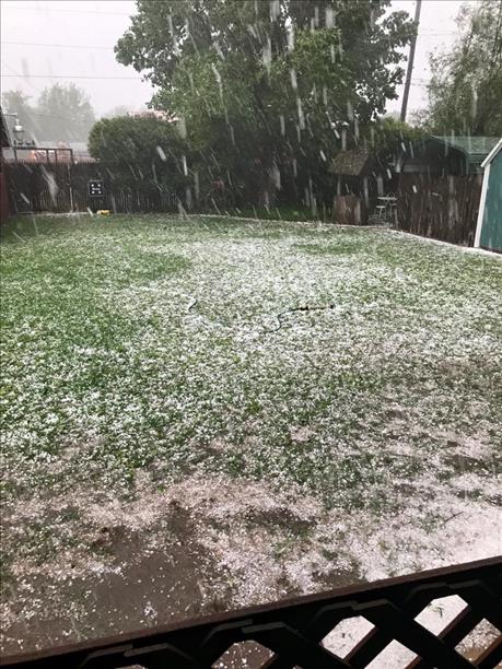Hail that fell in Floydada on the evening of 17 May. The picture is courtesy of KCBD.