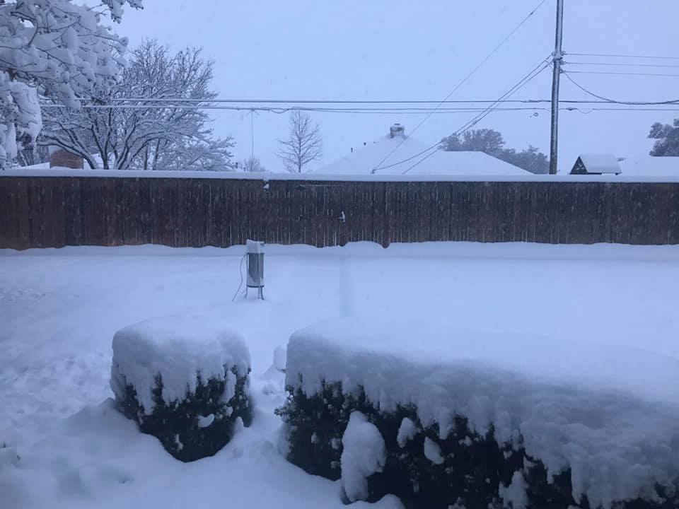Picture of the winter wonderland taken in Shallowater by Bruce Haynie.