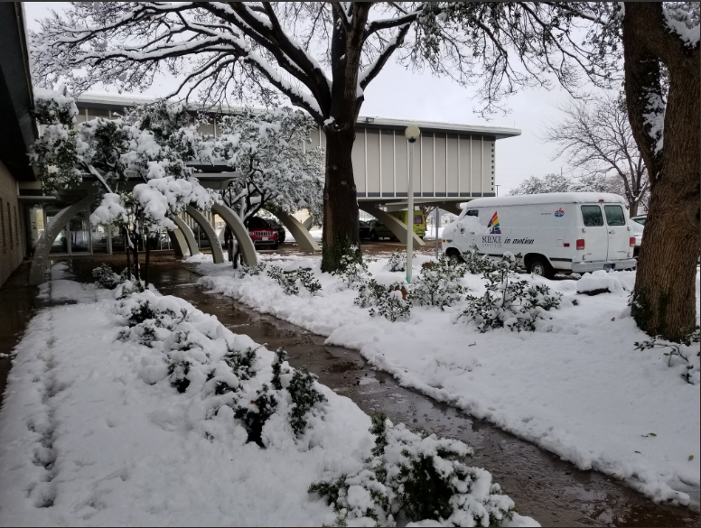 More pictures of the winter wonderland around the National Weather Service Office in Lubbock.
