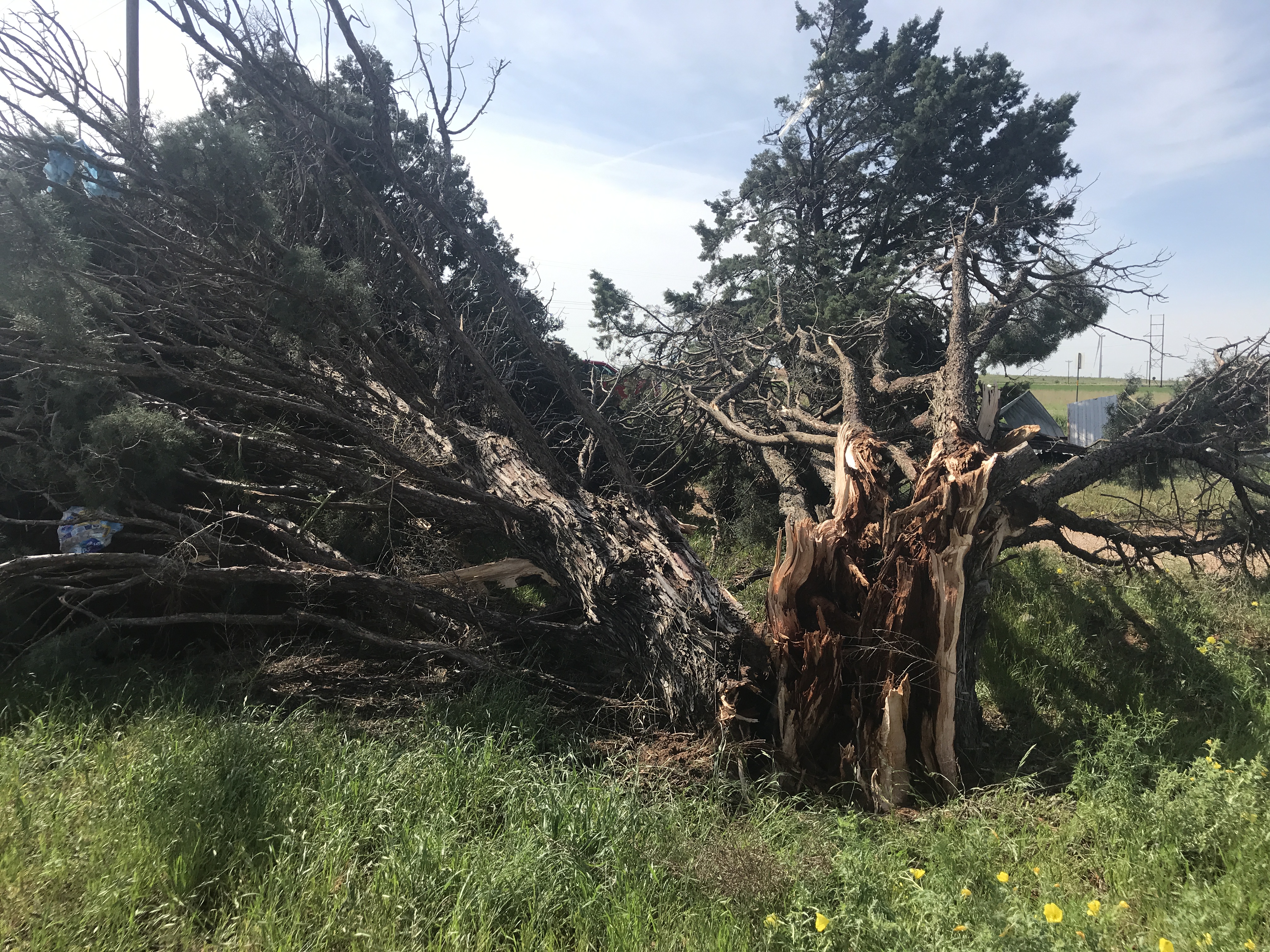 Photo of damage sustained from a tornado that tracked north and east of Tahoka on 5 May 2019.