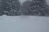 jacksonville,md snow