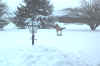 jacksonville,md snow