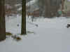 car buried in Severna Park,MD